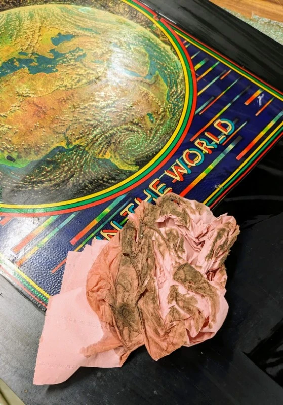 Process Borne Jeutel